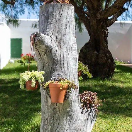 Beautiful Countryside With Teide Views, Los Arcos De Rozayna By Eden Ferienhaus *
